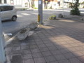 サムネール