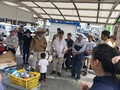 サムネール