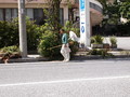 サムネール