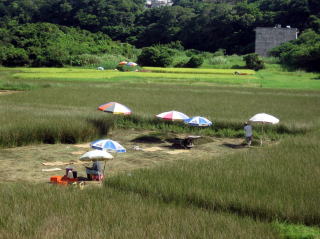 びーぐ風景