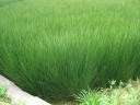 びーぐ風景